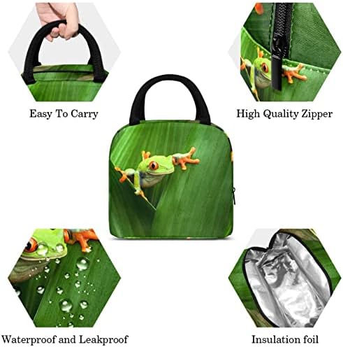 GUEROTKR un pachet de izolare pentru adulți cu o cutie de frunze de broască verde