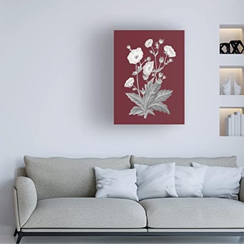Marcă de artă plastică „rodie botanică vi” Canvas Canvas Art by Wild Apple Portofoliu