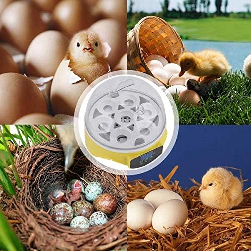 Incubator de ouă Estink, Incubator Digital Transparent complet automat de ouă 7 ouă Incubator de păsări de curte Control al
