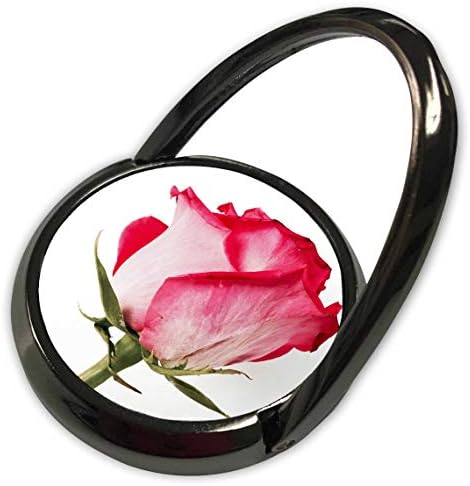 3Drose Robyn Hart Designs -Flowers - Image of Pink Rose - Telefon inel