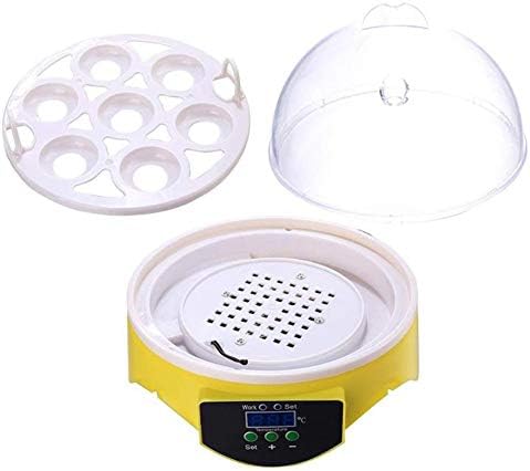 ALREMO 103234536 7 ouă Mini Incubator Digital automat de Control al temperaturii Incubator Transparent pentru găini rațe păsări