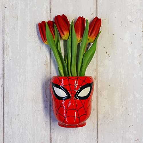 Vaza De Perete În Formă De Spider-Man-Spider-Man