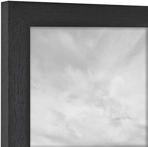Galeria MCS Frame esențială, lemn negru, 8 x 8 in, 2 cadru PK & Studio Gallery, Black Woodgrain, 8,5 x 11 in, Single
