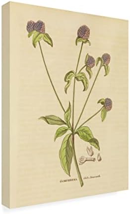 Marcă de artă fină „herbal botanical xxxii” pânză de pânză de portofoliu de mere sălbatic