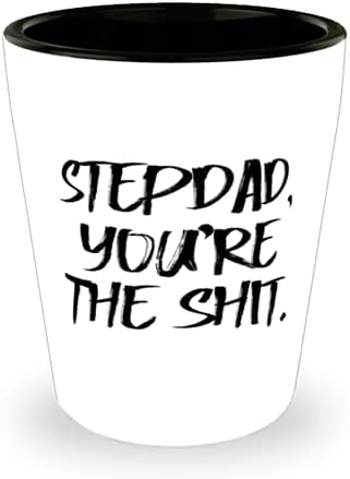 Fun Stepdad Shot Glass, Stepdad, tu ești rahatul, pentru tată, cadou de la fiu, ceașcă ceramică pentru tatăl vitreg