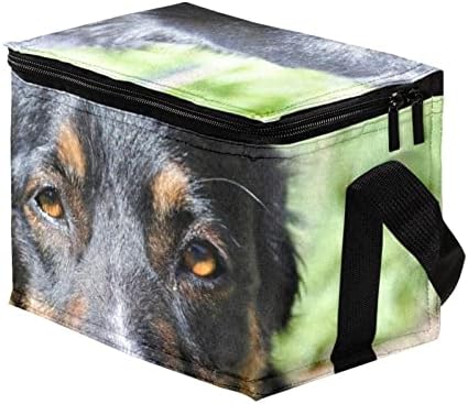 GUEROTKR geanta de prânz pentru bărbați,cutie de prânz izolată, cutie de prânz pentru adulți, câine de animale model negru