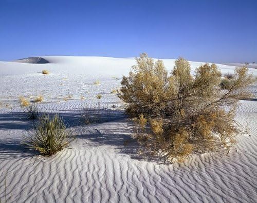 HistoricalFindings Foto: Mojave Desert, California, CA, Peisaj, Nature, Carol Highsmith, 1980-2006, America