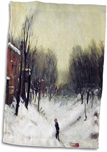 3Drose Winter Landscape Central Park, 1902 de Robert Henri - prosoape