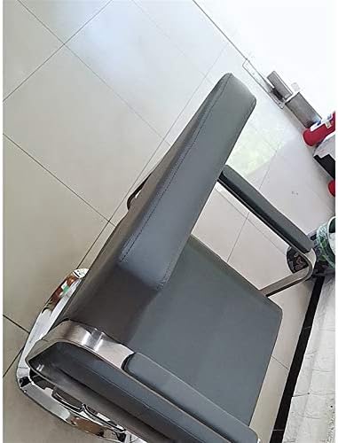Zhangoo păr tăiat cu păr hidraulic scaun de frizerie scaun covoraș scaune de frizerie, toate scopurile grele înclinare cu coafură