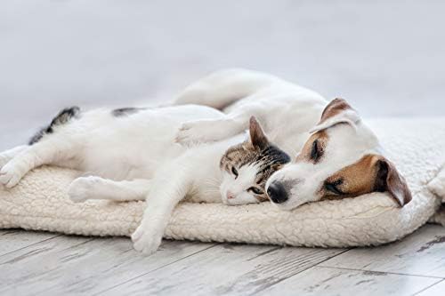 Câine alergie Relief masticabile - Pet alergie Relief-câini și pisici-imun rapel-mesteca-bromelain câini - 225 tratează
